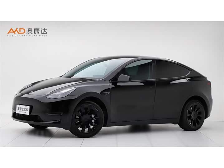 Tesla Model
