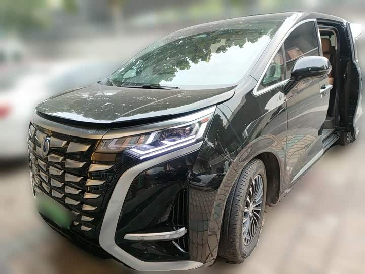 Denza D9