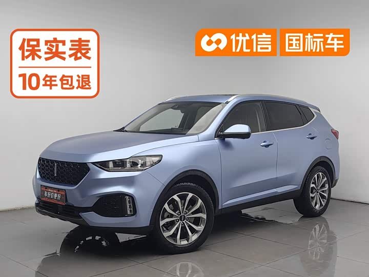 WEY VV6