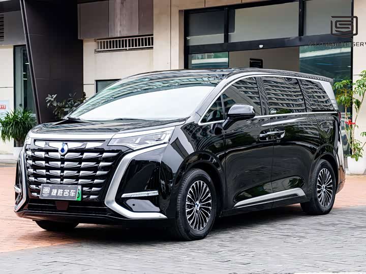 Denza D9