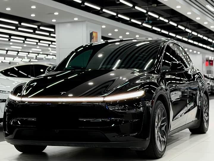 Tesla Model Y L