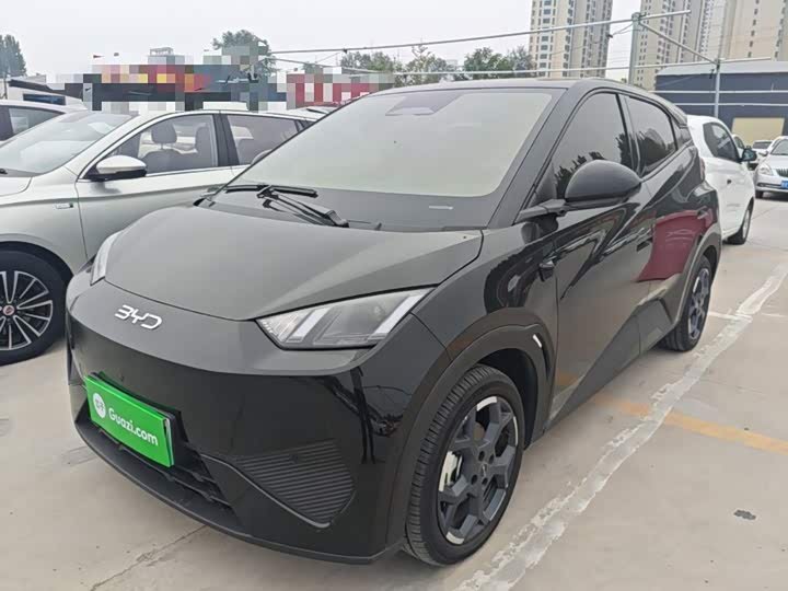 BYD Seagull