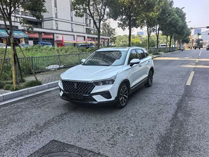 Besturn T77
