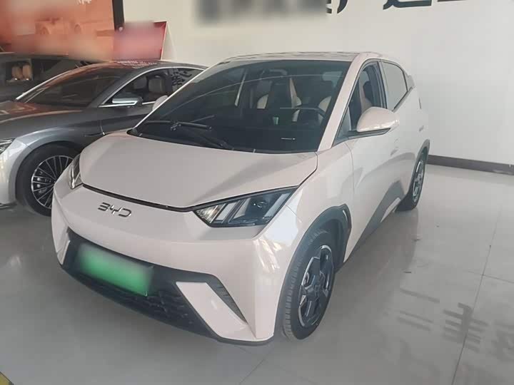 BYD Seagull