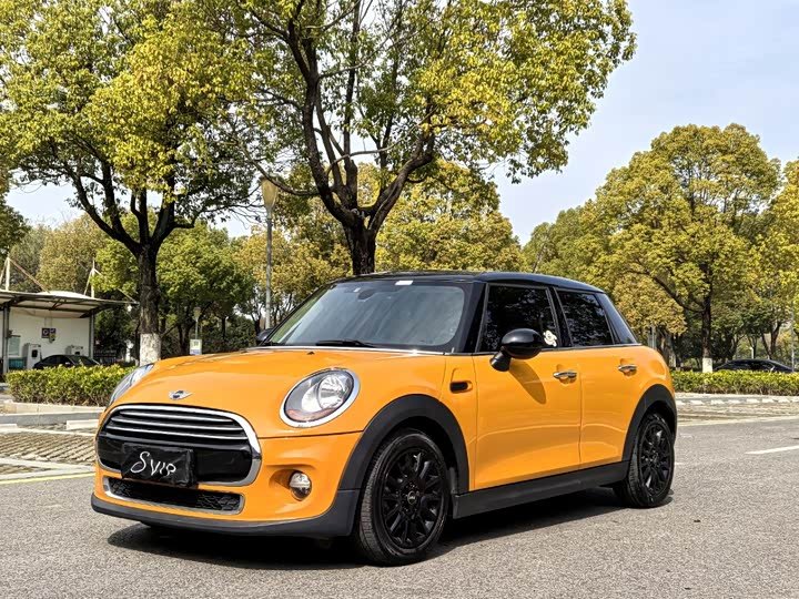 MINI
