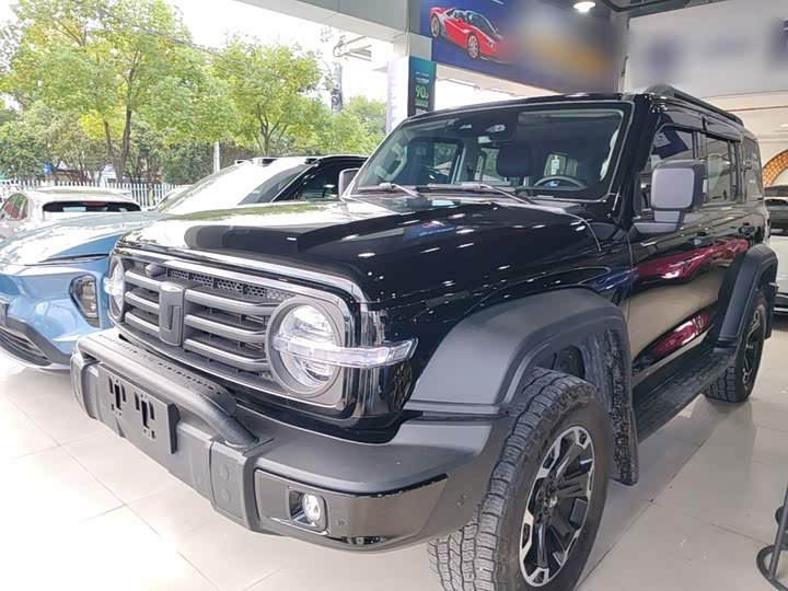 Tank 300