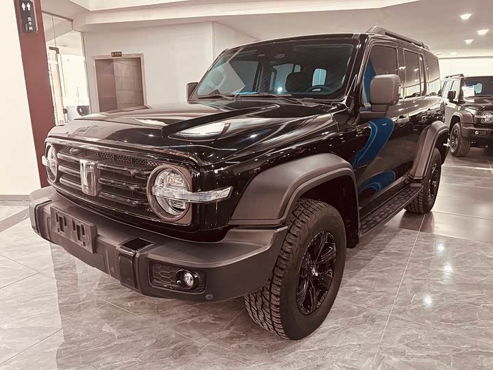 Tank 300