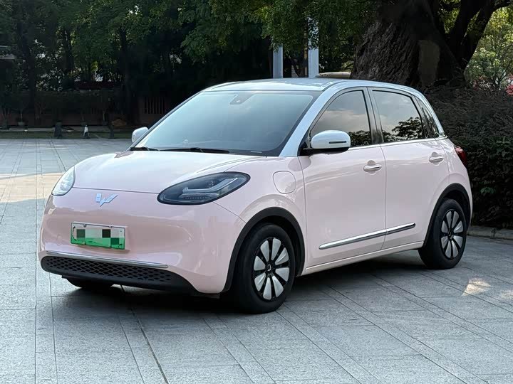 Wuling Bingo