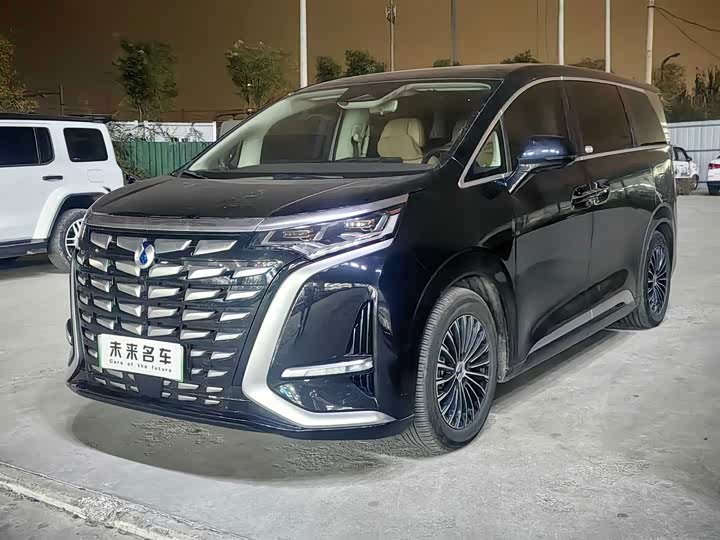 Denza D9