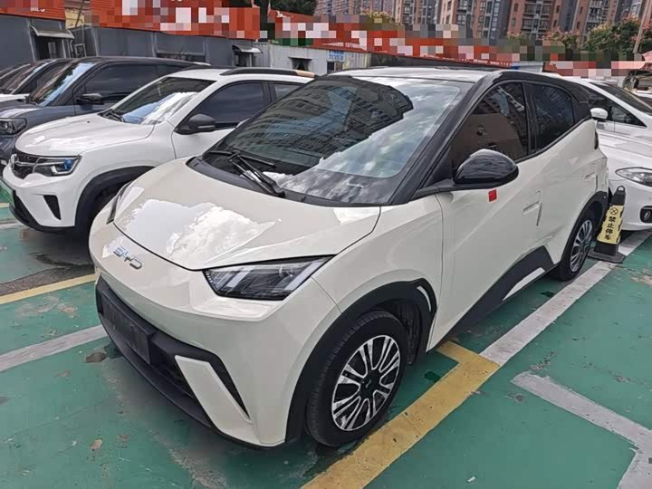 BYD Seagull