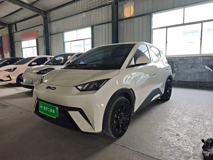 BYD Seagull