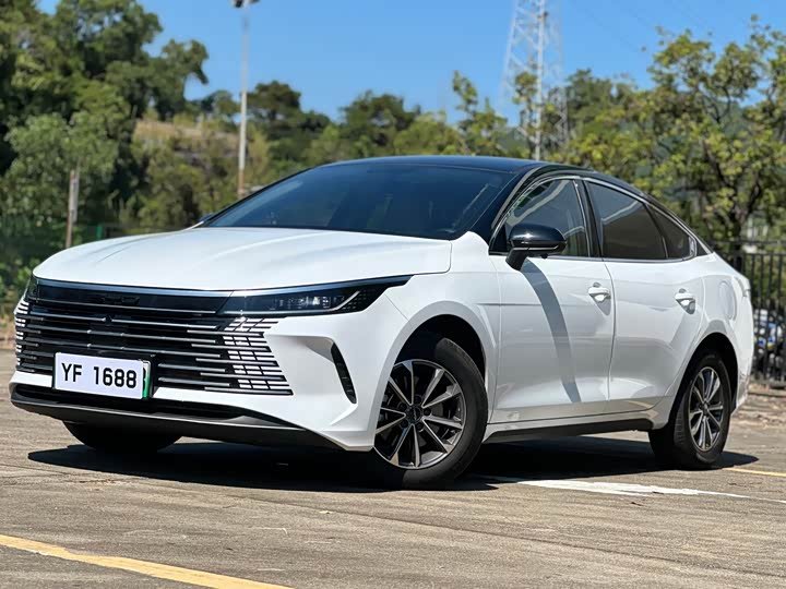 BYD Destroyer 05