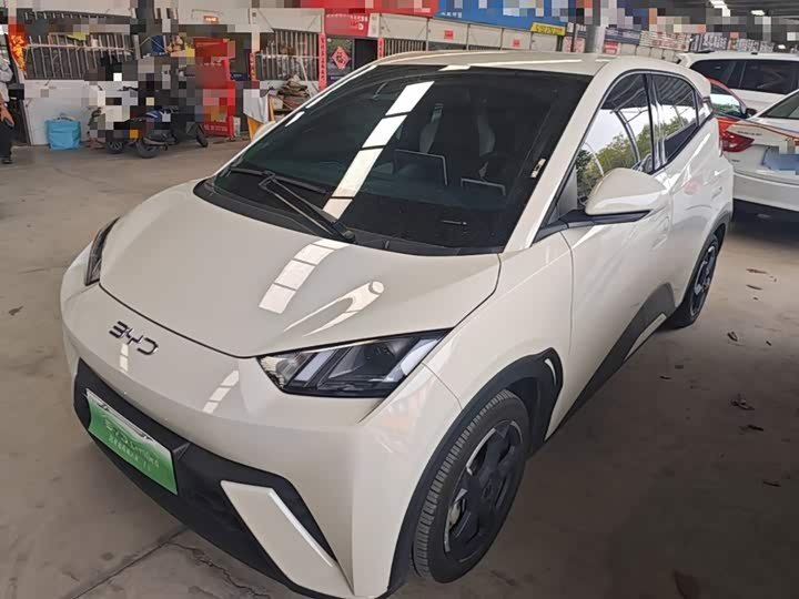 BYD Seagull