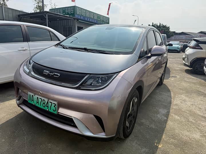BYD Dolphin